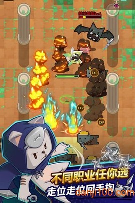 达猫小分队[图1]