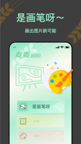 麦麦相机[图1]