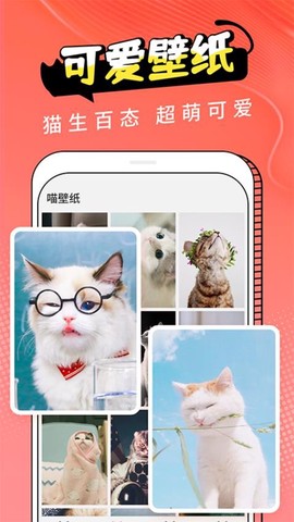 动物交流器截图2