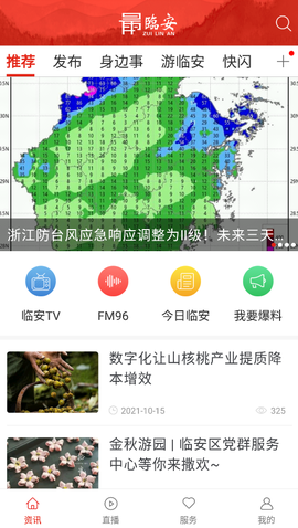 最临安截图3