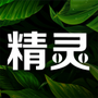 精灵之泉