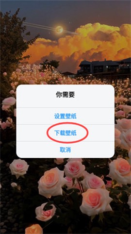 壁纸君[图8]