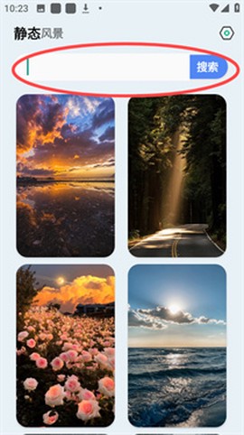 壁纸君[图10]