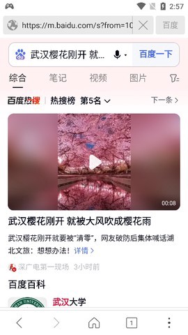 高速浏览器截图2