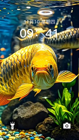 动态养鱼壁纸截图3