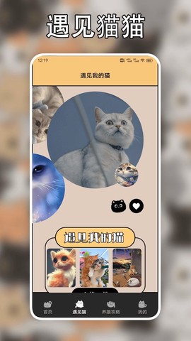 遇见我的猫截图2