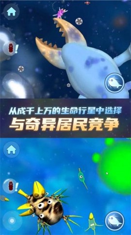 物种进化器截图1