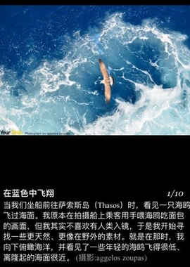 国家地理[图2]