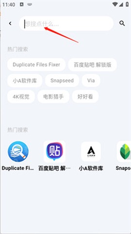 芥子应用[图5]