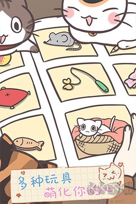 猫咪饲养日常[图5]