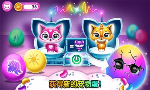 迷你乐园宠物屋[图1]