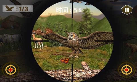 3D猫头鹰狩猎模拟截图1
