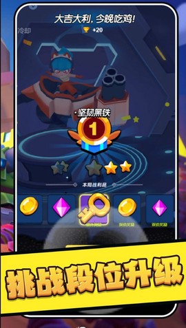 乱斗吃鸡截图1