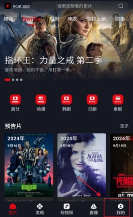 网飞猫[图6]