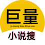 巨量小说搜