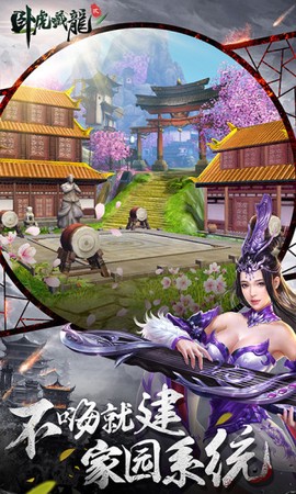 卧虎藏龙截图2