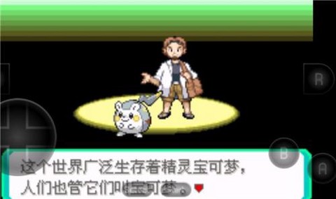 口袋妖怪之暗影归来截图3