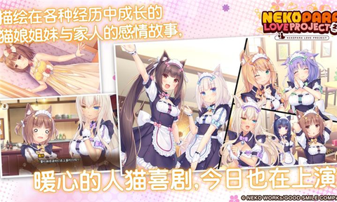 猫娘乐园2截图1
