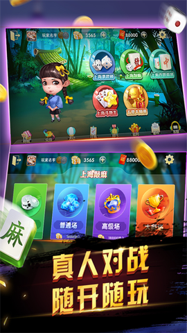 申城麻将截图1