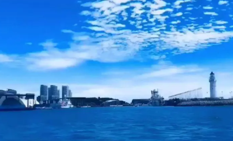 行书相机[图1]