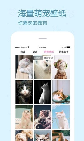 影盟宠物翻译器[图2]