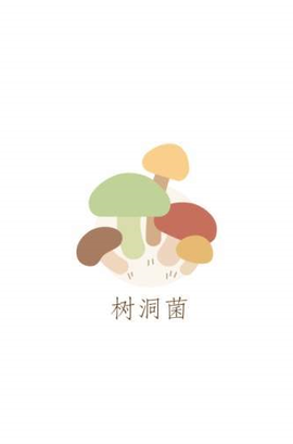 树洞菌[图1]