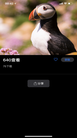 识鸟家截图3