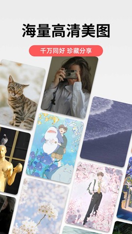 堆糖app截图1