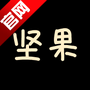 坚果视频4.0