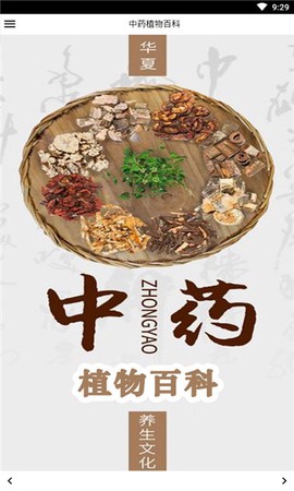 中药植物百科截图1
