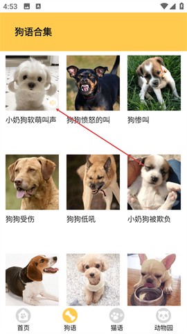 猫狗翻译神器[图3]