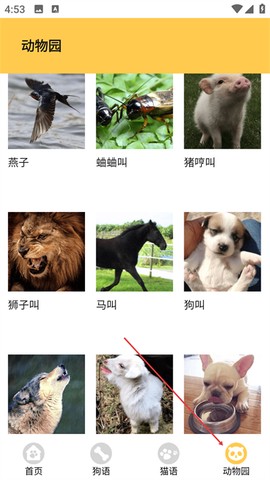 猫狗翻译神器[图4]