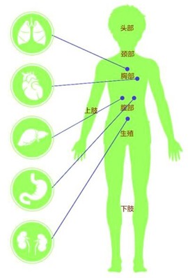 健康武汉截图3