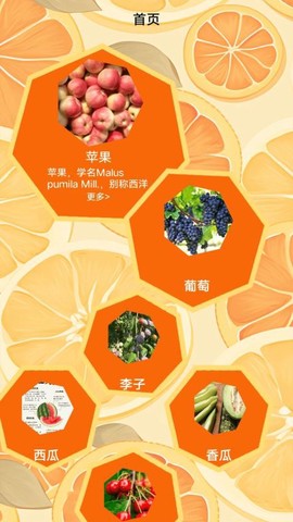 柚子快报[图1]