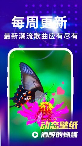 来电视频秀铃声截图3