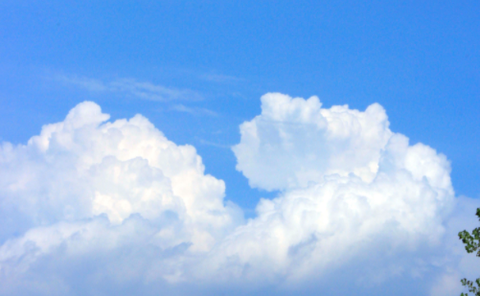 福报天气截图2