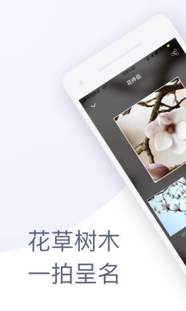 花伴侣[图1]