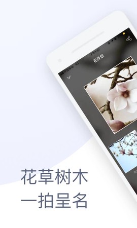 花伴侣截图2