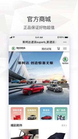 斯柯达[图1]