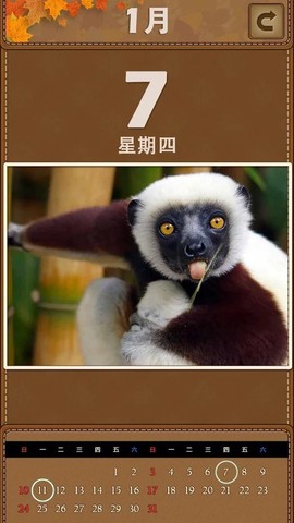 萌宠日历截图3