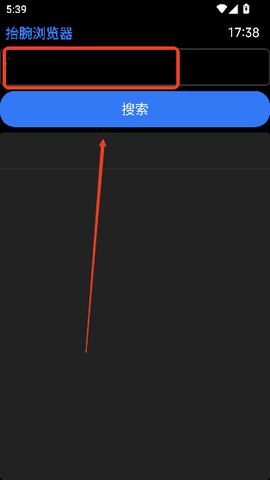 抬腕浏览器[图3]