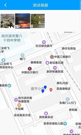 龙浩经纬拍[图1]