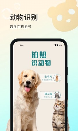 花卉识别[图1]