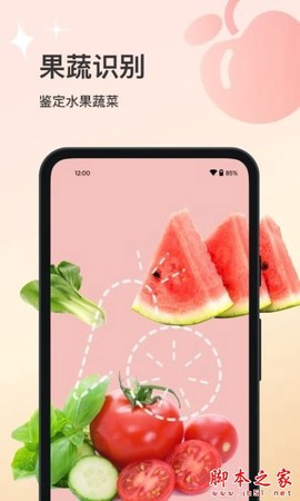 花卉识别截图1