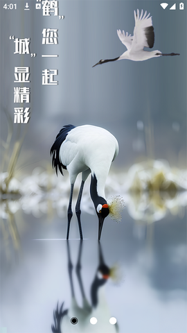 鹤城在线截图1