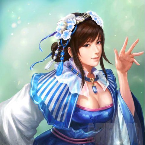 三国志13如何收养