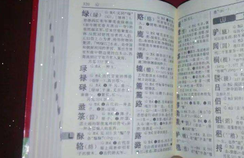 新华字典[图3]
