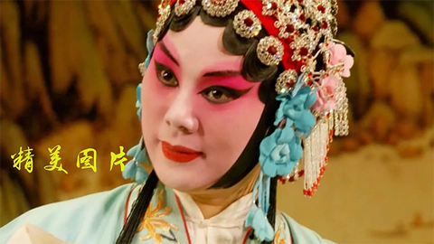 豫剧迷截图2