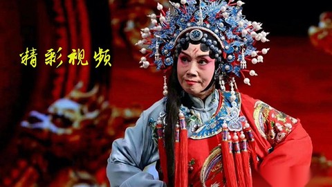 豫剧迷截图3