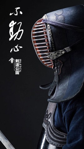 剑道公园截图1